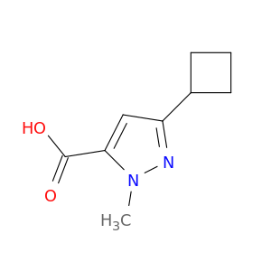 3-Cyclobutyl-1-methyl-1H-pyrazole-5-carboxylic acid