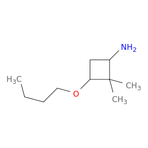 3-butoxy-2,2-dimethylcyclobutan-1-amine