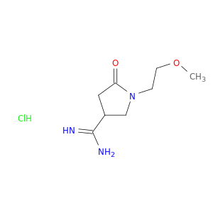 1-(2-甲氧基乙基)-2-氧代吡咯烷-4-甲脒盐酸盐