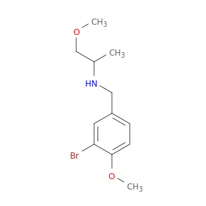(3-BROMO-4-METHOXYBENZYL)(2-METHOXY-1-METHYLETHYL)AMINE