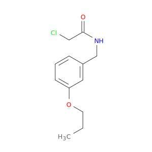 2-Chloro-N-[(3-propoxyphenyl)methyl]acetamide
