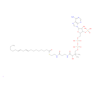 Linoleoyl coenzyme A lithium salt