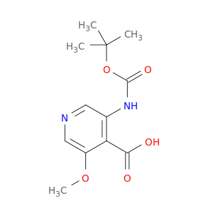 3-叔丁氧羰基氨基-5-甲氧基异烟酸
