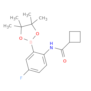 2-(环丁基甲酰胺基)-5-氟苯基硼酸频那醇酯