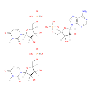 5'-uridylic acid- 5'-adenylic acid(2:1)