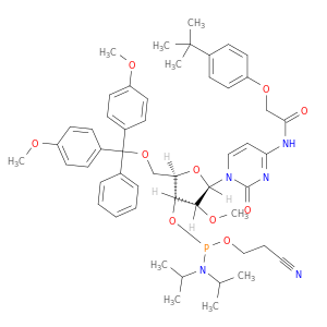 5'-O-(4,4-二甲氧基三苯甲基)-N-[[4-(叔丁基)苯氧基]乙酰基]-2'-O-甲基胞苷-3'-(2-氰基乙基-N,N-二异丙基)亚磷酰胺