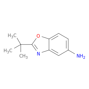 2-tert-Butyl-1,3-benzoxazol-5-amine