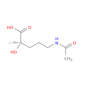 5-乙酰氨基-2-羟基戊酸