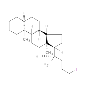 Cholane, 24-iodo-, (5b)- (9CI)