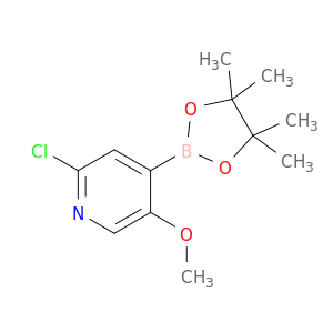 2-氯-5-甲氧基-4-(4,4,5,5-四甲基-1,3,2-二氧硼杂环戊烷-2-基)吡啶