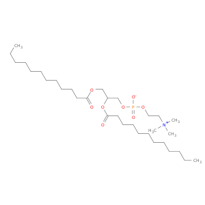 Dilaurodlphyphaticylcholine.