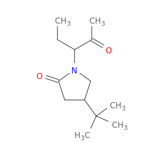 2-Pyrrolidinone, 4-(1,1-dimethylethyl)-1-(1-ethyl-2-oxopropyl)-