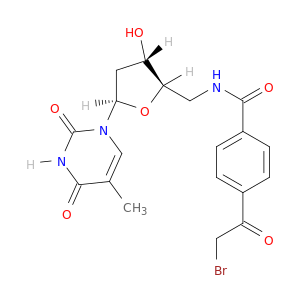 Thymidine, 5'-[[4-(bromoacetyl)benzoyl]amino]-5'-deoxy-