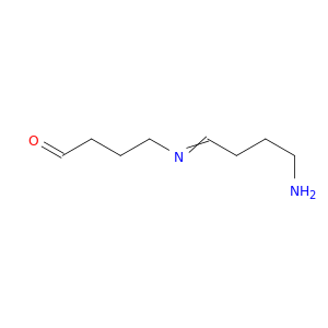 Butanal, 4-[(4-aminobutylidene)amino]-