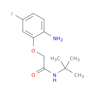 2-(2-氨基-5-氟苯氧基)-N-叔丁基乙酰胺