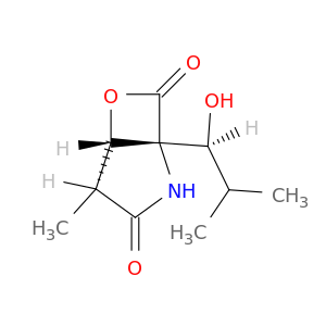 Clasto-Lactacystin β-lactone