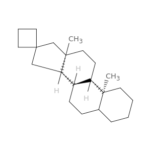 Spiro[androstane-16,1'-cyclobutane](9CI)
