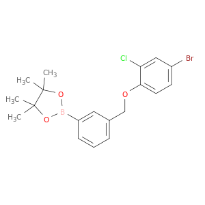 3-（4-溴-2-氯苯氧甲基）苯基硼酸频那醇酯