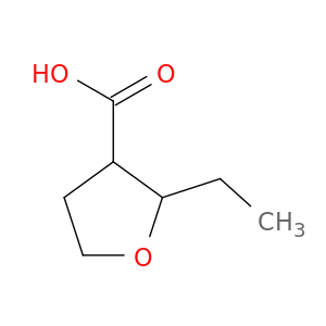 2-ethyloxolane-3-carboxylic acid