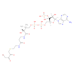 4-Bromo-2,3-dioxobutyl-coenzyme A