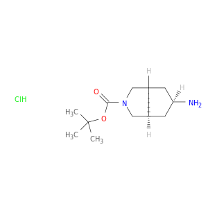 rel-(3aR,5r,6aS)-5-氨基-3,3a,4,5,6,6a-六氢-1H-环戊二烯并[c]吡咯-2-羧酸叔丁酯盐酸盐