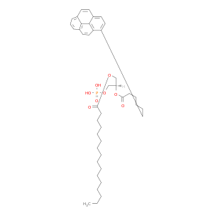 1-Pyrenehexanoic acid,1-[[(1-oxohexadecyl)oxy]methyl]-2-(phosphonooxy)ethyl ester, (R)- (9CI)