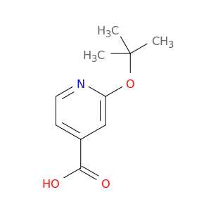 2-(tert-Butoxy)pyridine-4-carboxylic Acid