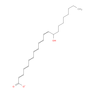 14-Hydroxydocosahexaenoate