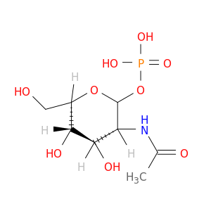 2-(乙酰氨基)-2-脱氧-D-吡喃葡萄糖1-(磷酸二氢氢)