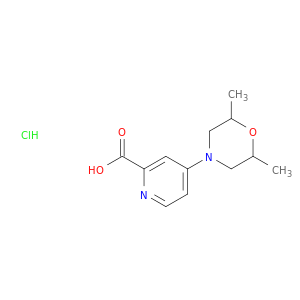 4-(2,6-二甲基吗啉-4-基)吡啶-2-羧酸盐酸盐