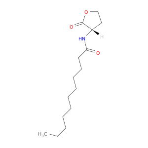 N-[(3S)-四氢-2-氧代-3-呋喃基]十一烷酰胺