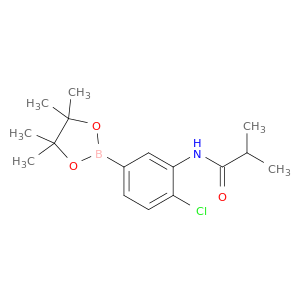 4-氯-3-异丁酰胺基苯基硼酸频那醇酯