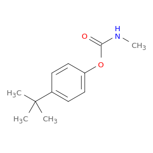 Phenol,4-(1,1-dimethylethyl)-, 1-(N-methylcarbamate)