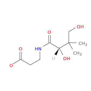 d-pantothenate