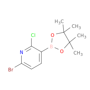 6-溴-2-氯-3-吡啶硼酸嚬哪酯