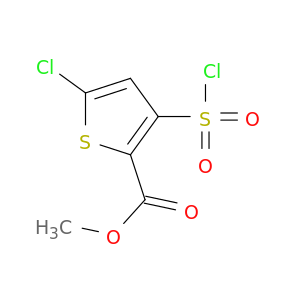 5-氯-3-(氯磺酰基)噻吩-2-甲酸甲酯