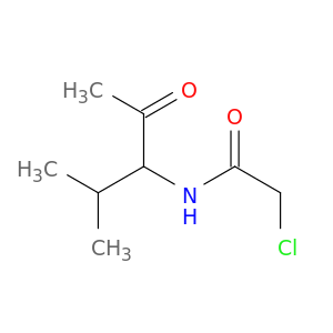 2-chloro-N-(2-methyl-4-oxopentan-3-yl)acetamide