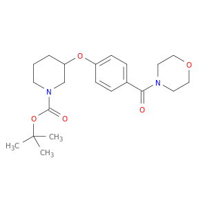 3-[4-(4-吗啉基羰基)苯氧基]-1-哌啶甲酸叔丁酯