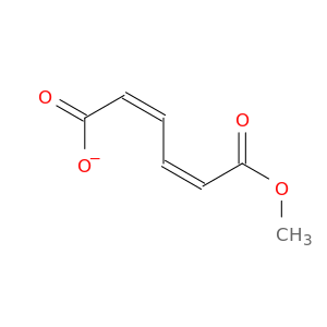 2,4-Hexadienedioic acid, monomethyl ester, (Z,Z)-