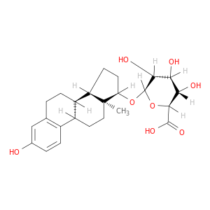 雌二醇17β-葡糖醛酸