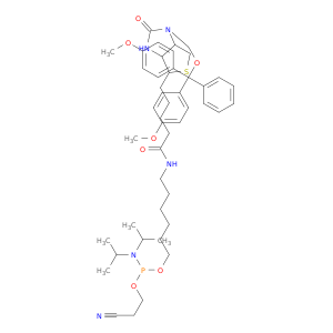 5'-BiotinPhosphoramidite