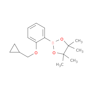 2-环丙基甲氧基苯基硼酸频那醇酯