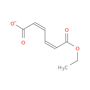 2,4-Hexadienedioic acid, monoethyl ester, (Z,Z)-