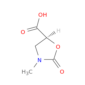 5-Oxazolidinecarboxylicacid, 3-methyl-2-oxo-, (S)- (9CI)