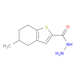 5-甲基-4,5,6,7-四氢-1-苯噻吩-2-碳酰肼