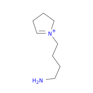 2H-Pyrrolium, 1-(4-aminobutyl)-3,4-dihydro-