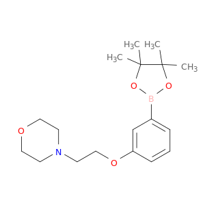 3-(2-吗啉乙氧基)苯硼酸频那醇酯