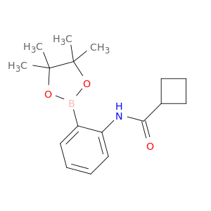 2-(环丁基甲酰胺基)苯硼酸频那醇酯