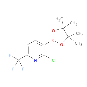 2-氯-6-三氟甲基吡啶-3-硼酸频那醇酯
