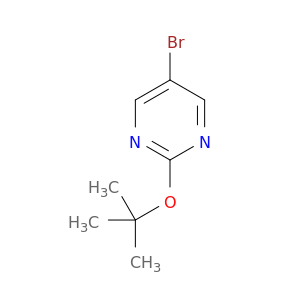 5-溴-2-(叔丁氧基)嘧啶